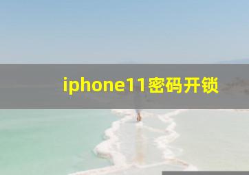 iphone11密码开锁