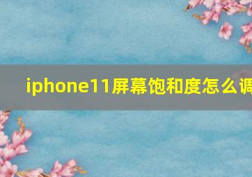 iphone11屏幕饱和度怎么调