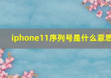 iphone11序列号是什么意思