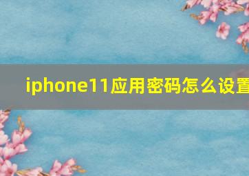 iphone11应用密码怎么设置