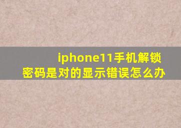 iphone11手机解锁密码是对的显示错误怎么办