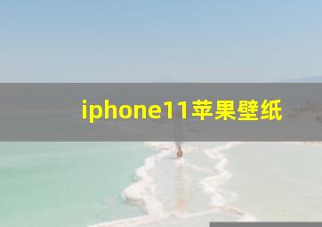 iphone11苹果壁纸