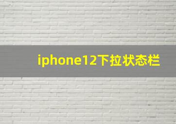 iphone12下拉状态栏