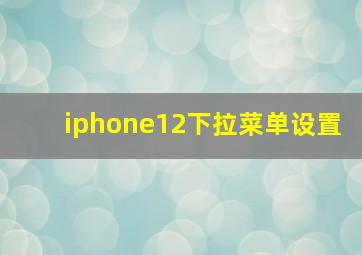 iphone12下拉菜单设置