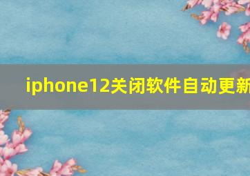 iphone12关闭软件自动更新