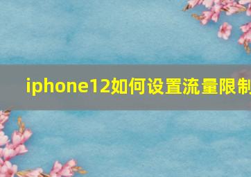 iphone12如何设置流量限制