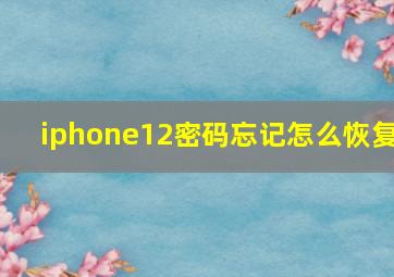 iphone12密码忘记怎么恢复