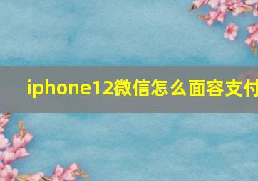 iphone12微信怎么面容支付