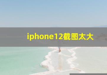 iphone12截图太大