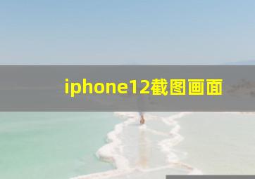 iphone12截图画面