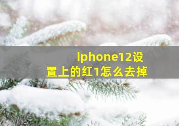 iphone12设置上的红1怎么去掉