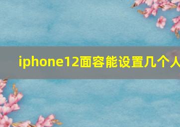 iphone12面容能设置几个人