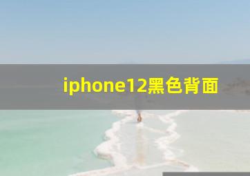 iphone12黑色背面