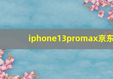 iphone13promax京东