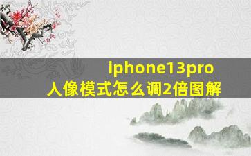 iphone13pro人像模式怎么调2倍图解