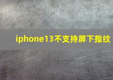 iphone13不支持屏下指纹