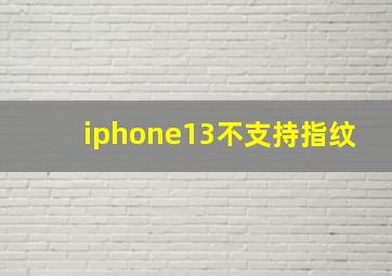 iphone13不支持指纹