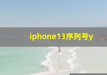 iphone13序列号y