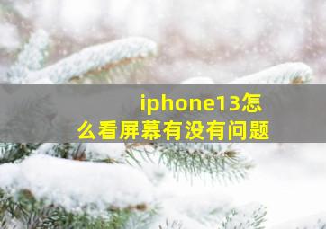 iphone13怎么看屏幕有没有问题