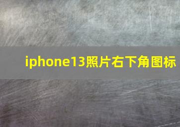 iphone13照片右下角图标