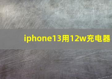 iphone13用12w充电器