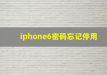 iphone6密码忘记停用