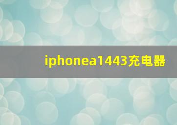 iphonea1443充电器