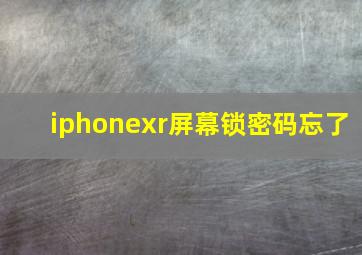 iphonexr屏幕锁密码忘了