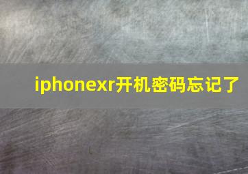 iphonexr开机密码忘记了