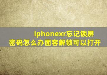 iphonexr忘记锁屏密码怎么办面容解锁可以打开