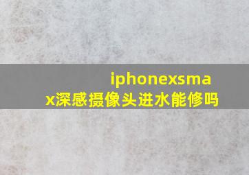 iphonexsmax深感摄像头进水能修吗