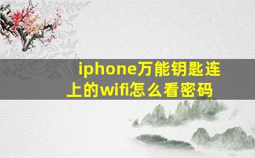 iphone万能钥匙连上的wifi怎么看密码