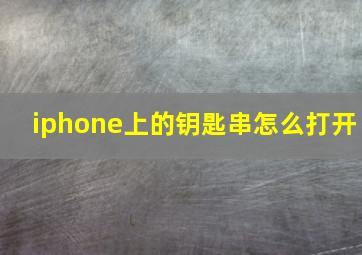 iphone上的钥匙串怎么打开