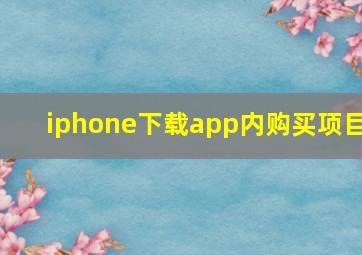 iphone下载app内购买项目