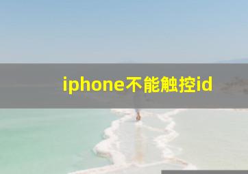 iphone不能触控id