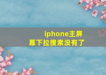 iphone主屏幕下拉搜索没有了