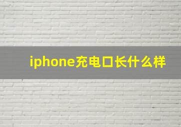 iphone充电口长什么样