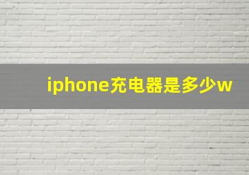 iphone充电器是多少w