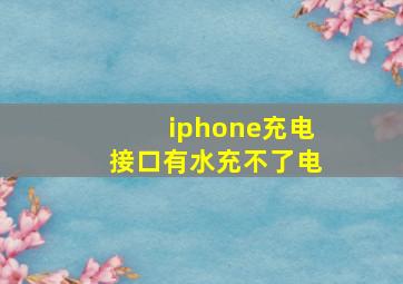 iphone充电接口有水充不了电