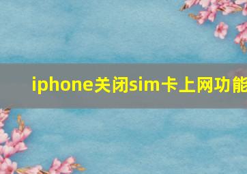 iphone关闭sim卡上网功能