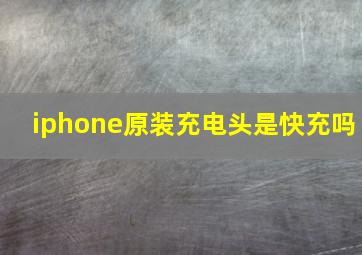 iphone原装充电头是快充吗