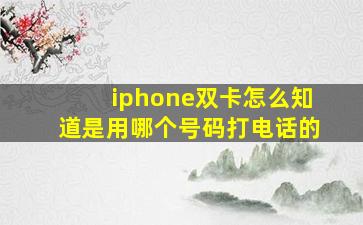 iphone双卡怎么知道是用哪个号码打电话的