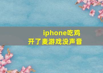 iphone吃鸡开了麦游戏没声音