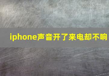 iphone声音开了来电却不响