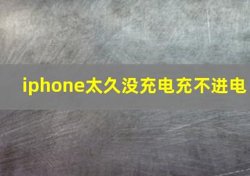 iphone太久没充电充不进电