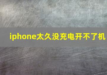 iphone太久没充电开不了机