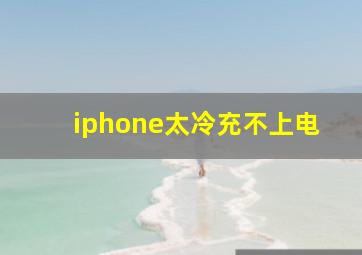 iphone太冷充不上电