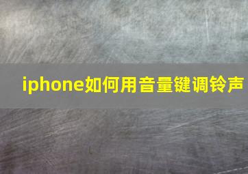 iphone如何用音量键调铃声