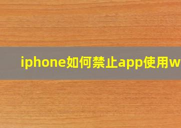 iphone如何禁止app使用wifi