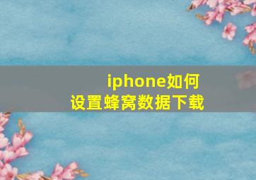 iphone如何设置蜂窝数据下载